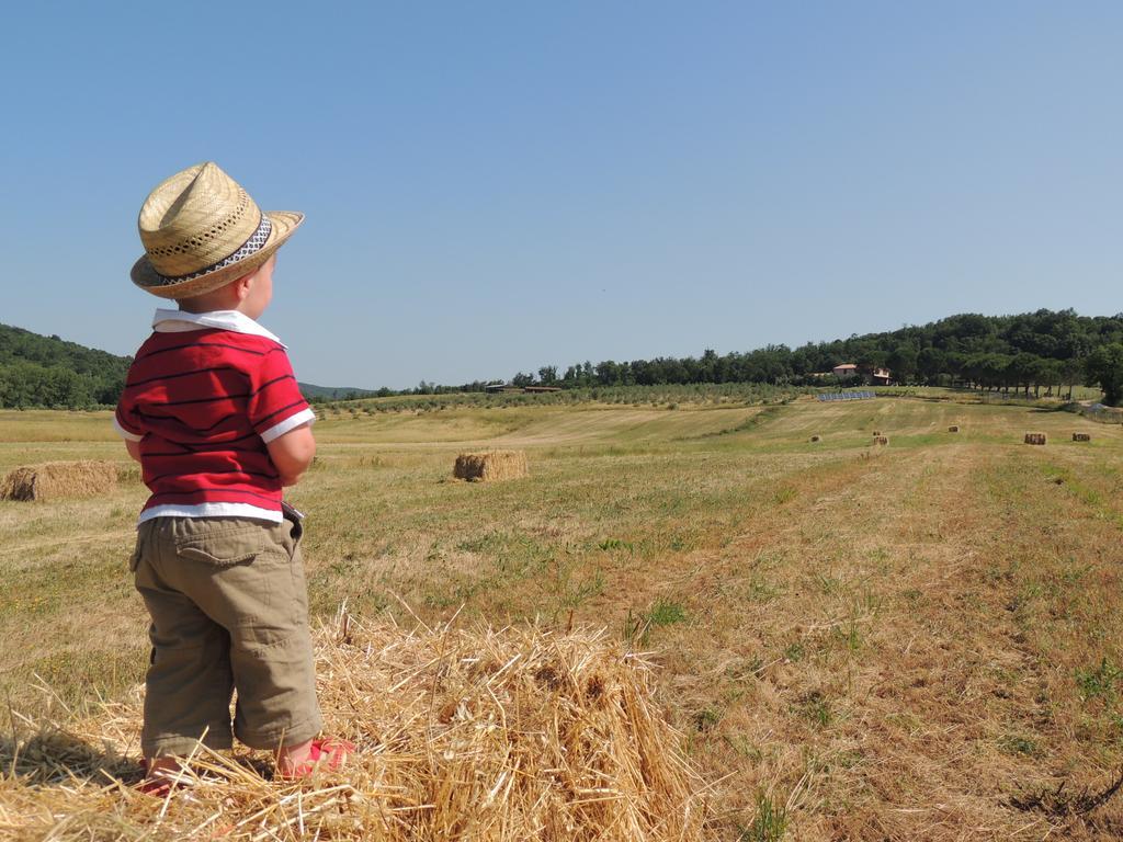 Agriturismo Podere Borgognano มัสซามาริตติมา ภายนอก รูปภาพ