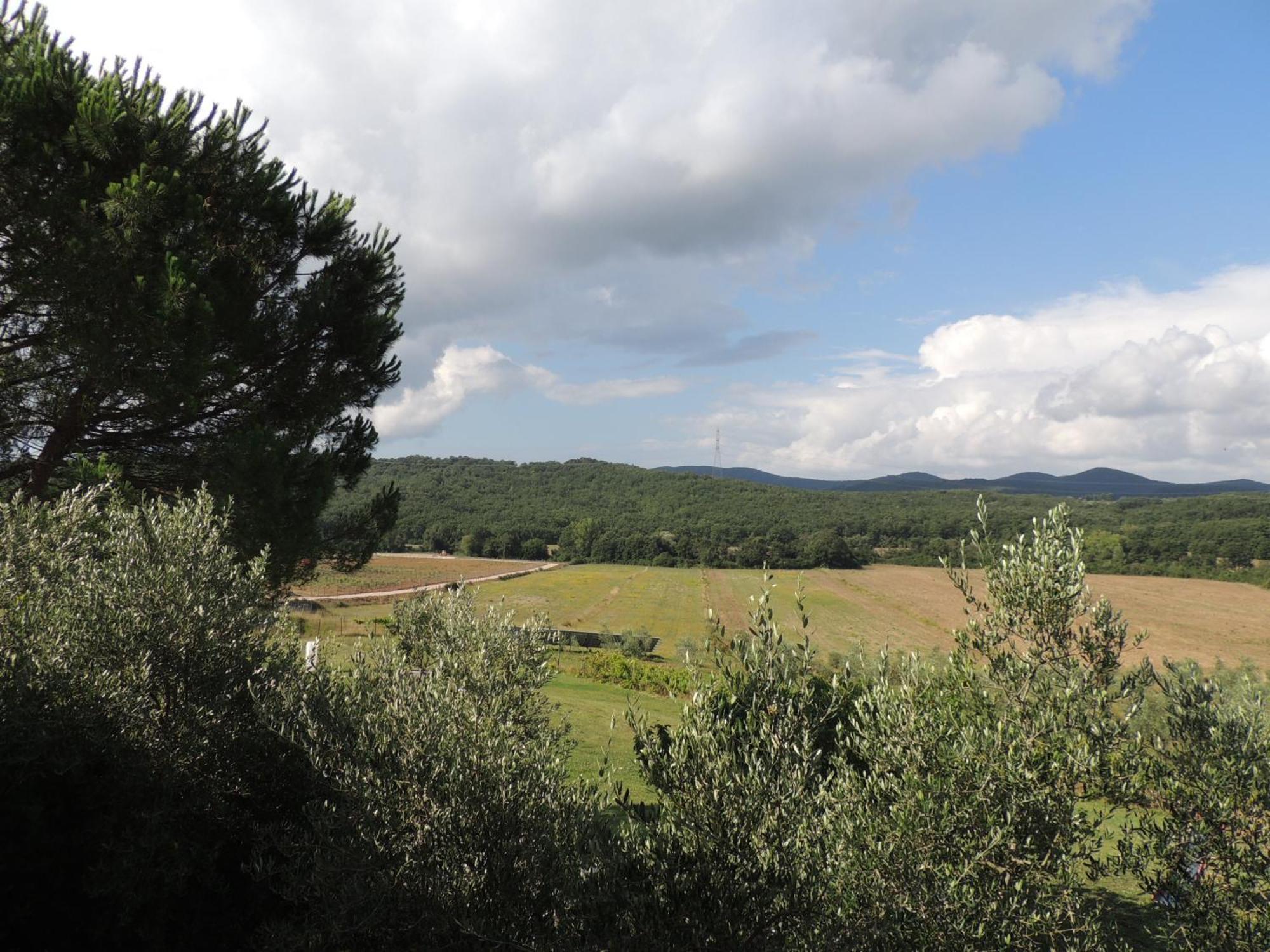Agriturismo Podere Borgognano มัสซามาริตติมา ห้อง รูปภาพ
