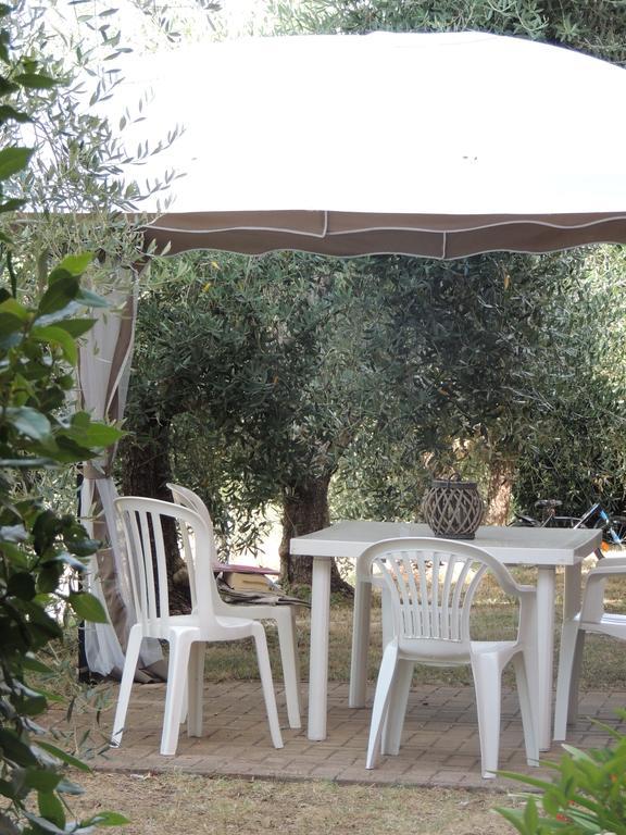 Agriturismo Podere Borgognano มัสซามาริตติมา ภายนอก รูปภาพ