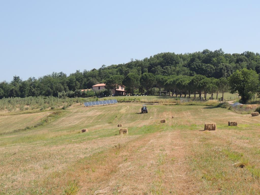 Agriturismo Podere Borgognano มัสซามาริตติมา ภายนอก รูปภาพ