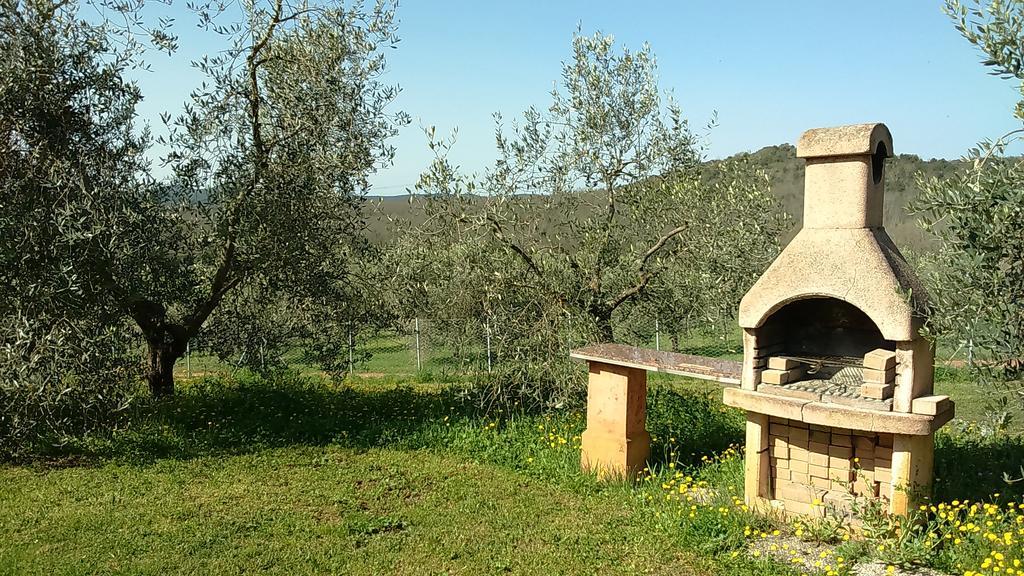 Agriturismo Podere Borgognano มัสซามาริตติมา ภายนอก รูปภาพ