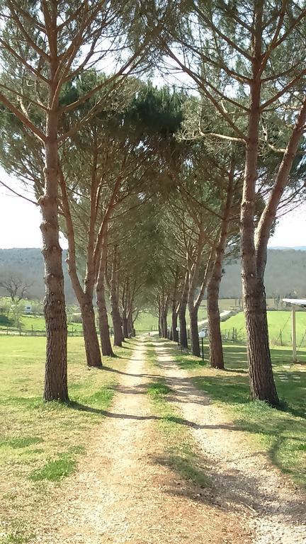 Agriturismo Podere Borgognano มัสซามาริตติมา ภายนอก รูปภาพ