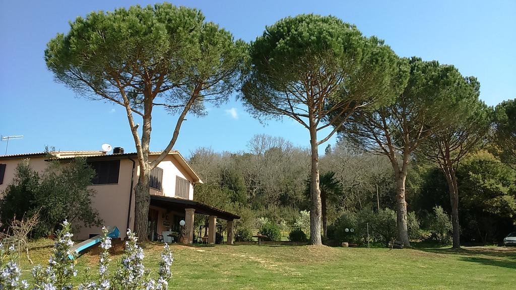 Agriturismo Podere Borgognano มัสซามาริตติมา ภายนอก รูปภาพ