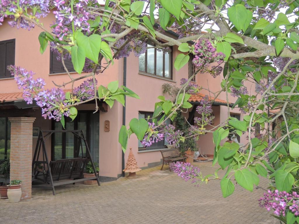 Agriturismo Podere Borgognano มัสซามาริตติมา ภายนอก รูปภาพ