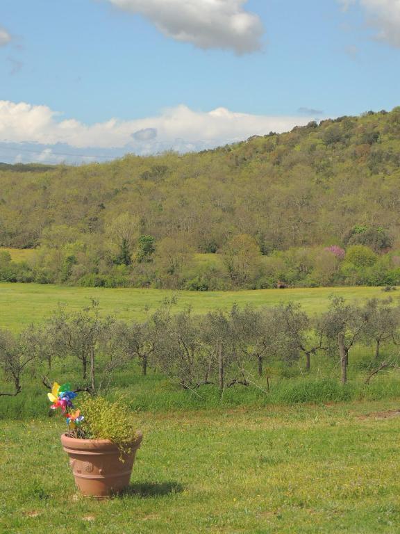 Agriturismo Podere Borgognano มัสซามาริตติมา ภายนอก รูปภาพ