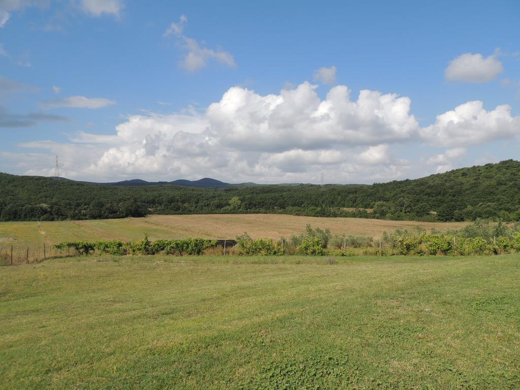 Agriturismo Podere Borgognano มัสซามาริตติมา ภายนอก รูปภาพ