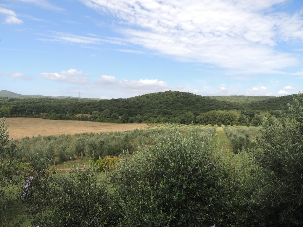 Agriturismo Podere Borgognano มัสซามาริตติมา ห้อง รูปภาพ